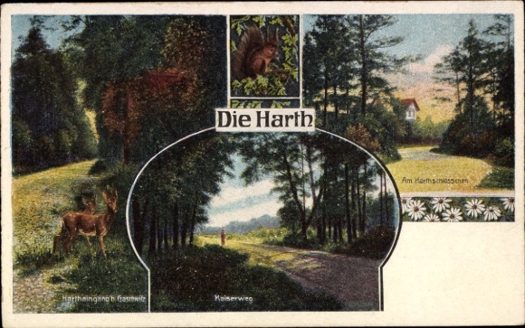 Ak Goschwitz Markkleeberg in Sachsen, Harthschlösschen, Kaiserweg, Hartheingang, Rehe, Eichhörnchen