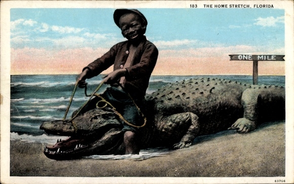 Postcard Florida USA, boy riding on crocodile
