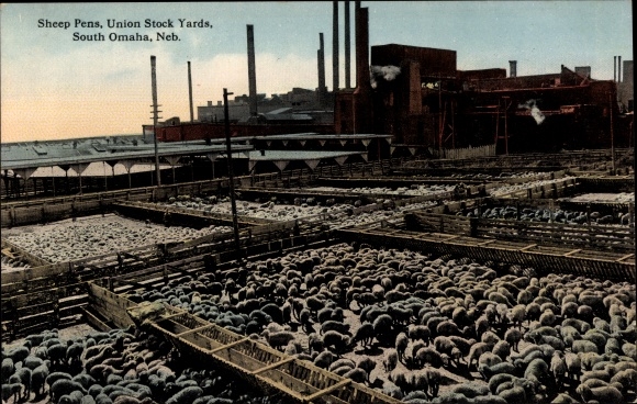 Ak Omaha Nebraska VS, Union Stock Yards, Slachthuis, Schaapskooi