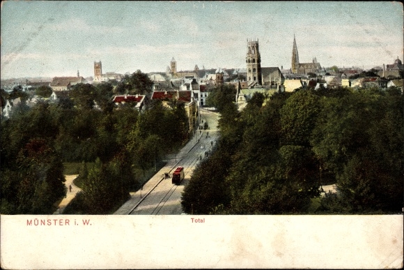 Ak Münster in Westfalen, Totale
