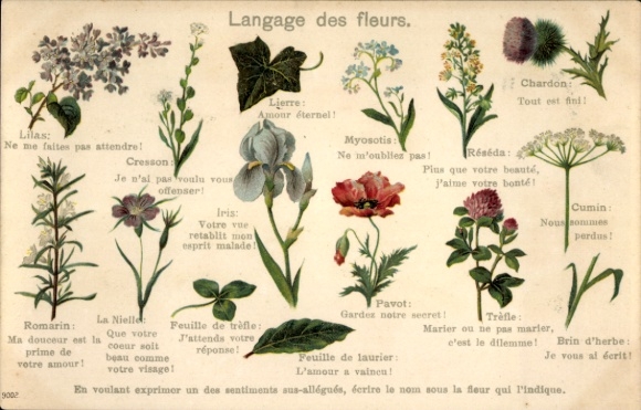 Postcard Langage des fleurs, Iris, Lilas, Lierre, Myosotis, Cresson, Romain, Pavot