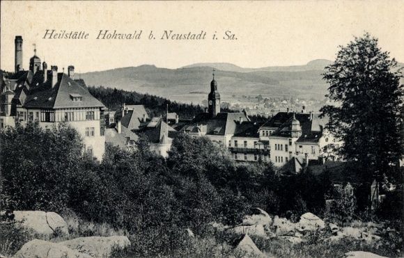 Postcard Hohwald Neustadt in Saxony, partial view of the town