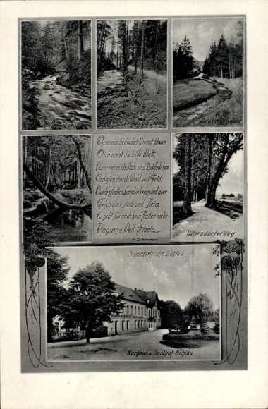 Postcard Dresden Bühlau, Kurhaus, Ullersdorfer Weg, Inn, Forest, Largest Concert and Ballrooms
