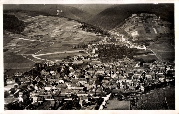 Postcard Wachenheim an der Weinstraße Pfalz, aerial view of Wachenheim, vineyards, buildings