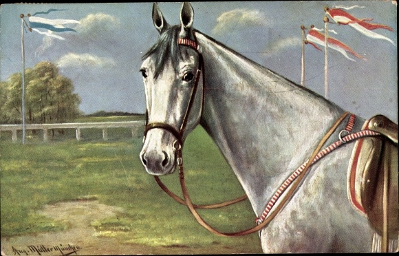 Artist PC Müller, August, horse portrait, white fur, saddle, flags