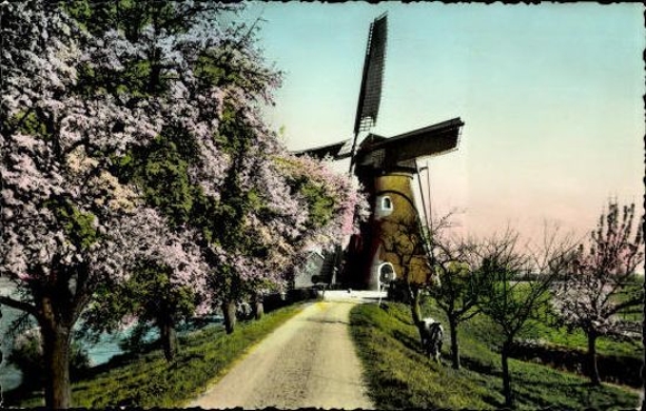 9 old PCs windmills Netherlands, various views