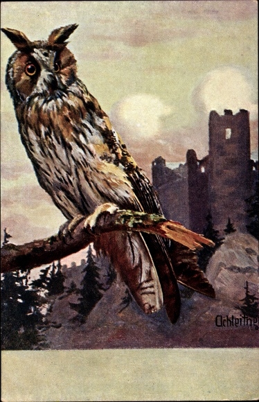 Artist Postcard Owl on a branch, castle ruins