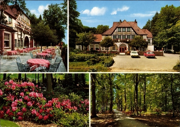 Postcard Dünsen Harpstedt in Oldenburg Lower Saxony, Hotel Waldfrieden, forest section