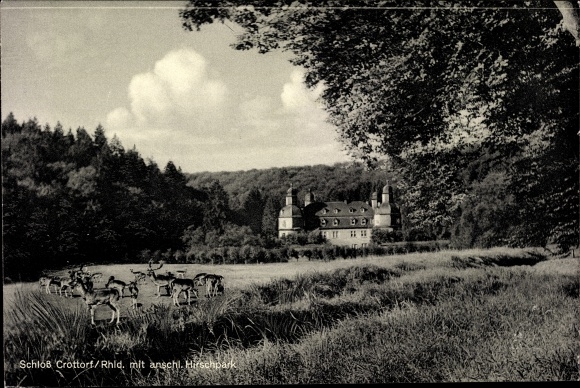 Ak Crottorf Krottorf Friesenhagen Rijnland-Palts, kasteel met hertenkamp