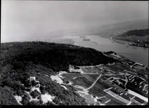 Postcard Nieder Ingelheim am Rhein, view of the Rhine near Nieder-Ingelheim