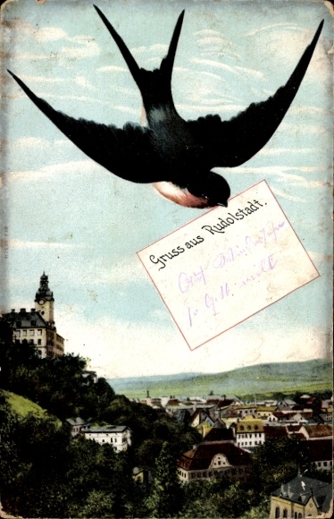 Ak Rudolstadt in Thüringen, Schwalbe über Stadtansicht,  mit Gruß aus Rudolstadt
