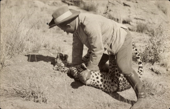 Photo Postcard Hunter with Leopard, Namibia German Southwest Africa