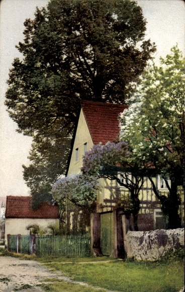 Postcard Nenke & Ostermaier No. 1276, Spring Blossom
