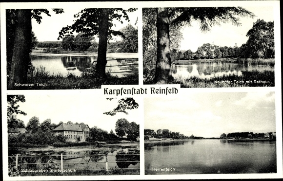 Postcard Reinfeld in Holstein, Schwarzer Teich, Neuhöfer Teich with town hall, moat and old school