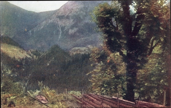 PC Carinthia Austria, motif in the cell valley