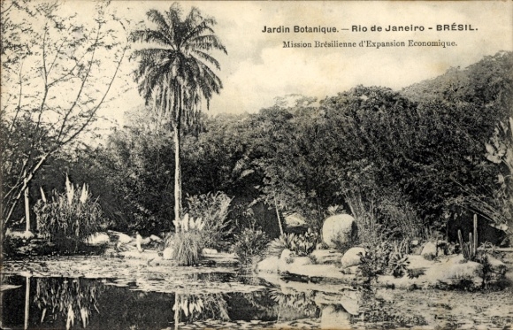 Ak Rio de Janeiro Brasilien, Botanischer Garten, Brasilien, Pflanzen, Wasser, Palmen