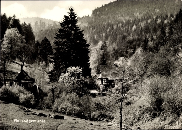 Ak Plotzsägemühle Loffenau im Schwarzwald, Waldrestaurant