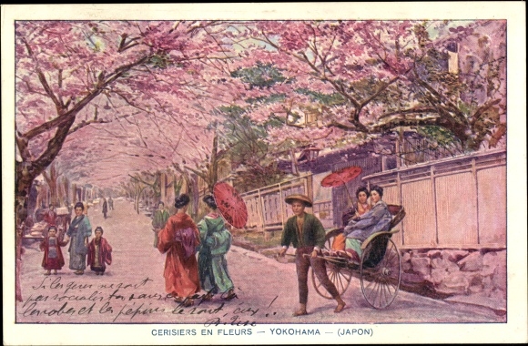 Artist PC Yokohama Pref. Kanagawa Japan, Cerisiers en Fleurs