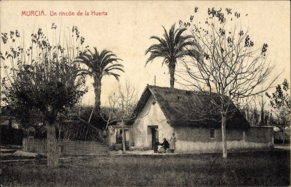 Postcard Murcia Spain, Un rincon de la Huerta, small house, palm trees