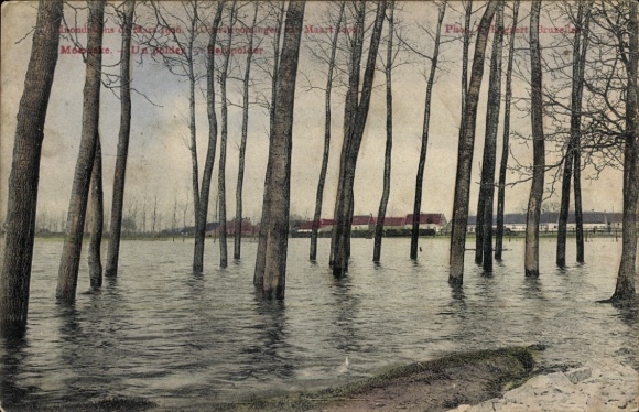 Postcard Bruxelles Brussels, flood, Un polder