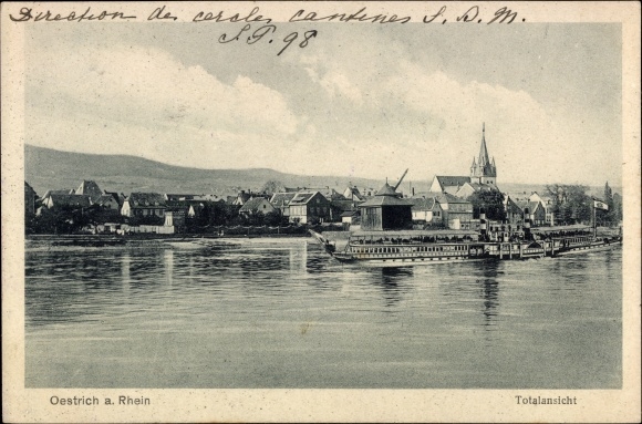 Ak Oestrich Winkel am Rhein Rheingau, Totale