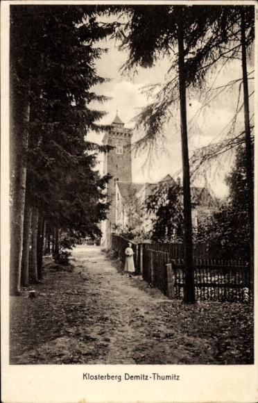 Ak Demitz-Thumitz in Sachsen, Klosterberg  Wald, Weg, Turm, Person
