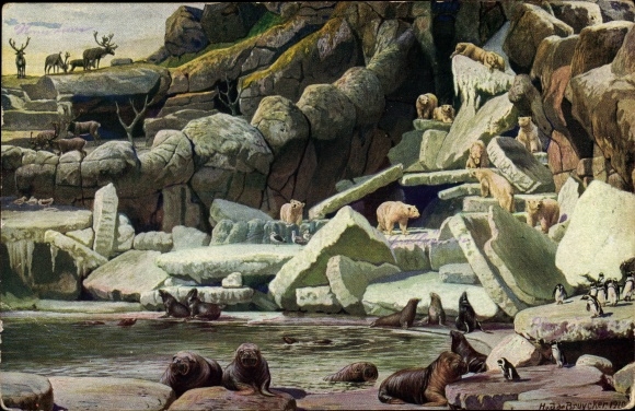 Artist Postcard de Bruycker, Hamburg Eimsbüttel Stellingen, Carl Hagenbeck&#39;s Zoo, Nordland Panorama