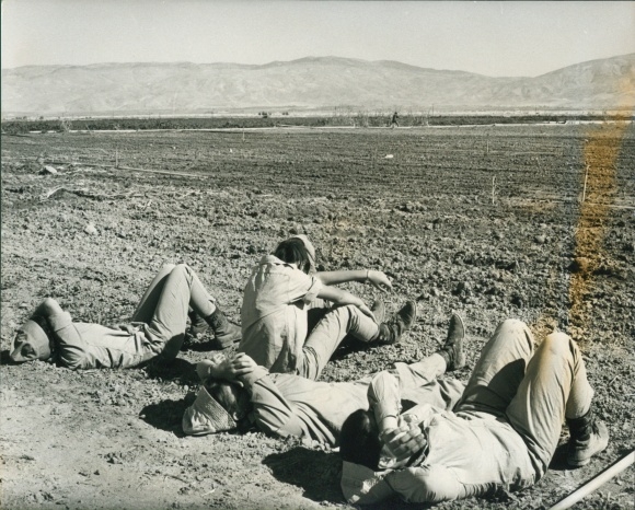 Judaica Photo Farmin on Israel's Burning Border