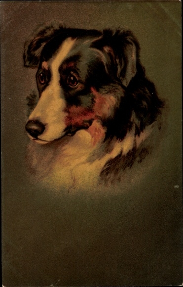 KP Dog, malowany portret zwierzęcia