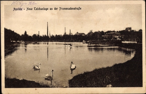 Postcard Apolda in Thuringia, new pond complex, promenade, swans, peaceful nature