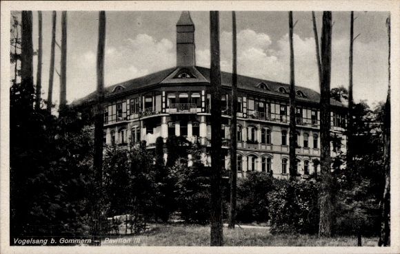 Ak Gommern Sachsen Anhalt, Heilstätte Vogelsang, Pavillon III