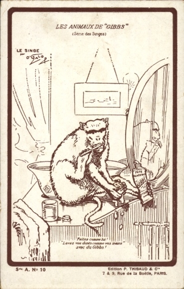 Artist Postcard Les Animaux de Gibbs, monkey brushing teeth, Gibbs toothpaste advertisement, bathroom