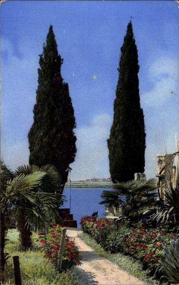 Postcard Nenke & Ostermaier Series 70 No. 1833, Lake Garda, vegetation picture from Gordone