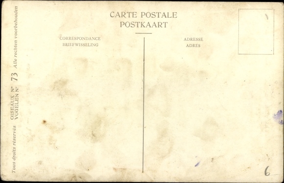 Artist Postcard Dupond, Hub., Chouette hulotte, Waldkauz, Natural History Museum of Belgium