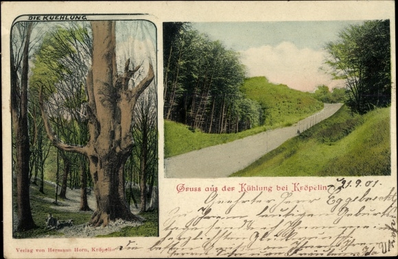 Postcard Kröpelin in Mecklenburg, greetings from the cooling, landscape, tree