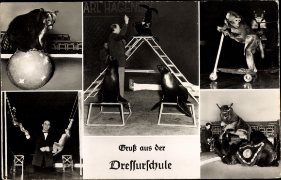 PC Hamburg Stellingen, Carl Hagenbeck&#39;s zoo, dressage school, donkey, monkey, bear, seals