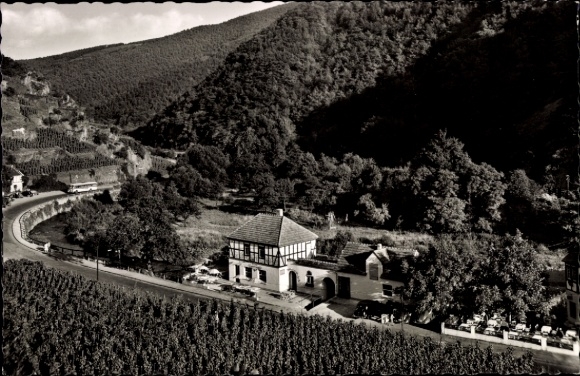 Ak Walporzheim Bad Neuenahr Ahrweiler, Winzerhaus Jupp Kriechel, Weinberge, Straße, Bäume, Hügel