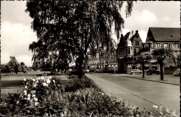 Postcard Andernach am Rhein, Black Forest, street with trees, flowerbed, buildings, cars
