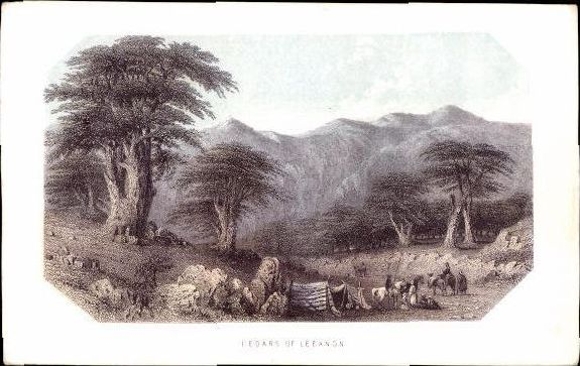 62 images of Palestine with maps, types of people, mosques, mountains
