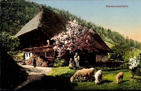 Ak Schwarzwaldidylle, Schwarzwaldhaus, Baumblüte, Schafe