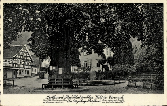 Postcard Bad Thal Ruhla Thuringia, 600-year-old village linden tree, Photohaus