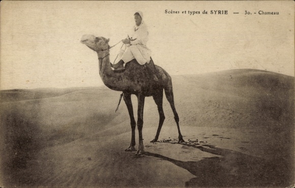 Postcard Syria, camel riders in the desert