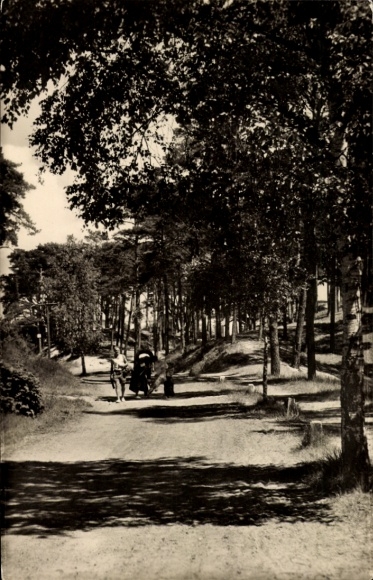 Postcard Trassenheide on Usedom, forest path to the beach