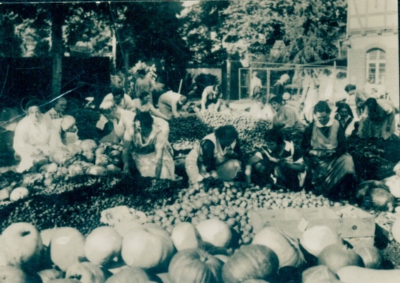 Sammelbild Bild-Dokumente unserer Zeit Nr. 386 Lehr- und Forschungsanstalt f. Gartenarbeit Dahlem