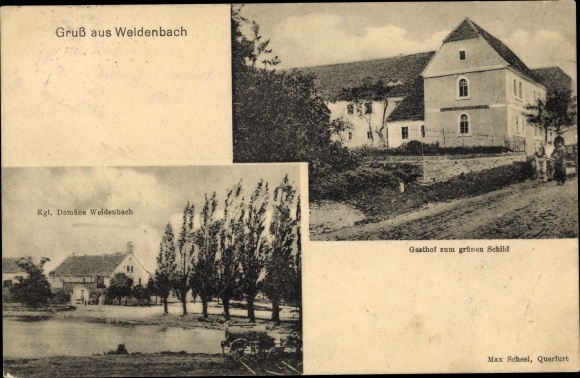 Ansichtkaart Weidenbach in de Saalekreis, Gasthof zum Grünen Schild, Kgl. domein
