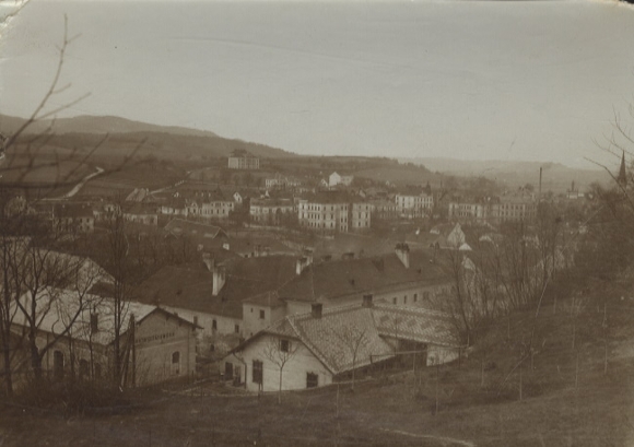 Original photo of Melk on the Danube, Lower Austria, general view, around 1900