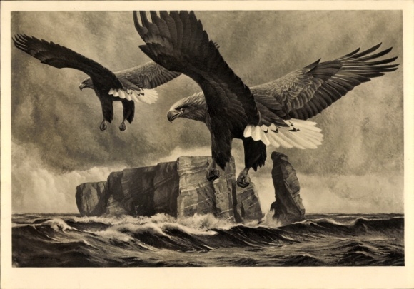 Künstler Ak Kiefer, Michael Mathias, Die Wacht, HDK 86, Adler, Helgoland