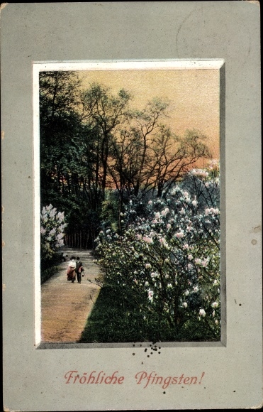 PC congratulations Pentecost, lilac book, shrubs, landscape
