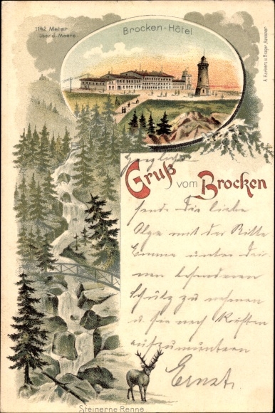 litho Brocken Harz Nationaal Park, Brockenhotel, Steinerne Renne, herten