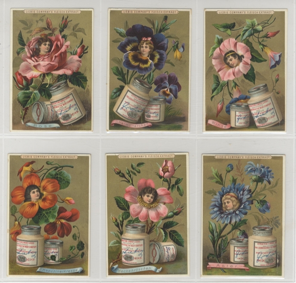 Liebig picture series A 147 S 267 Girls with flower heads, 1890